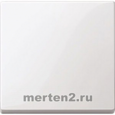 Лицевая панель для одноклавишного выключателя System M (Полярно-белый)