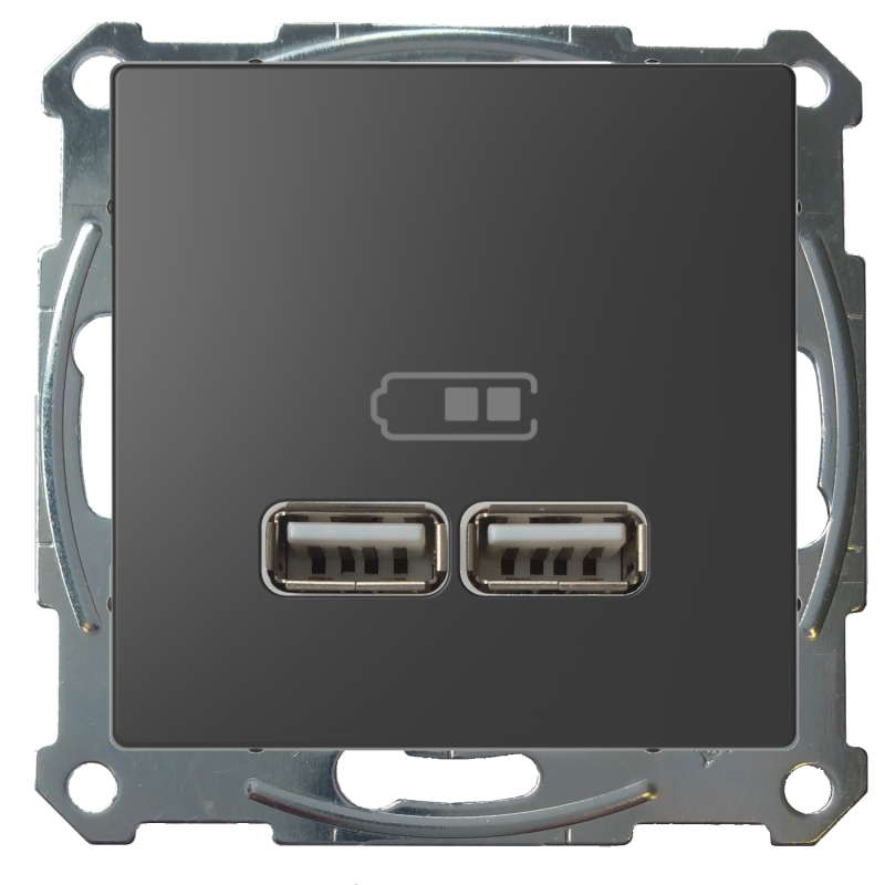 Зарядное устройство USB с двумя выходами (Антрацит) Зарядное устройство USB с двумя выходами (Антрацит)